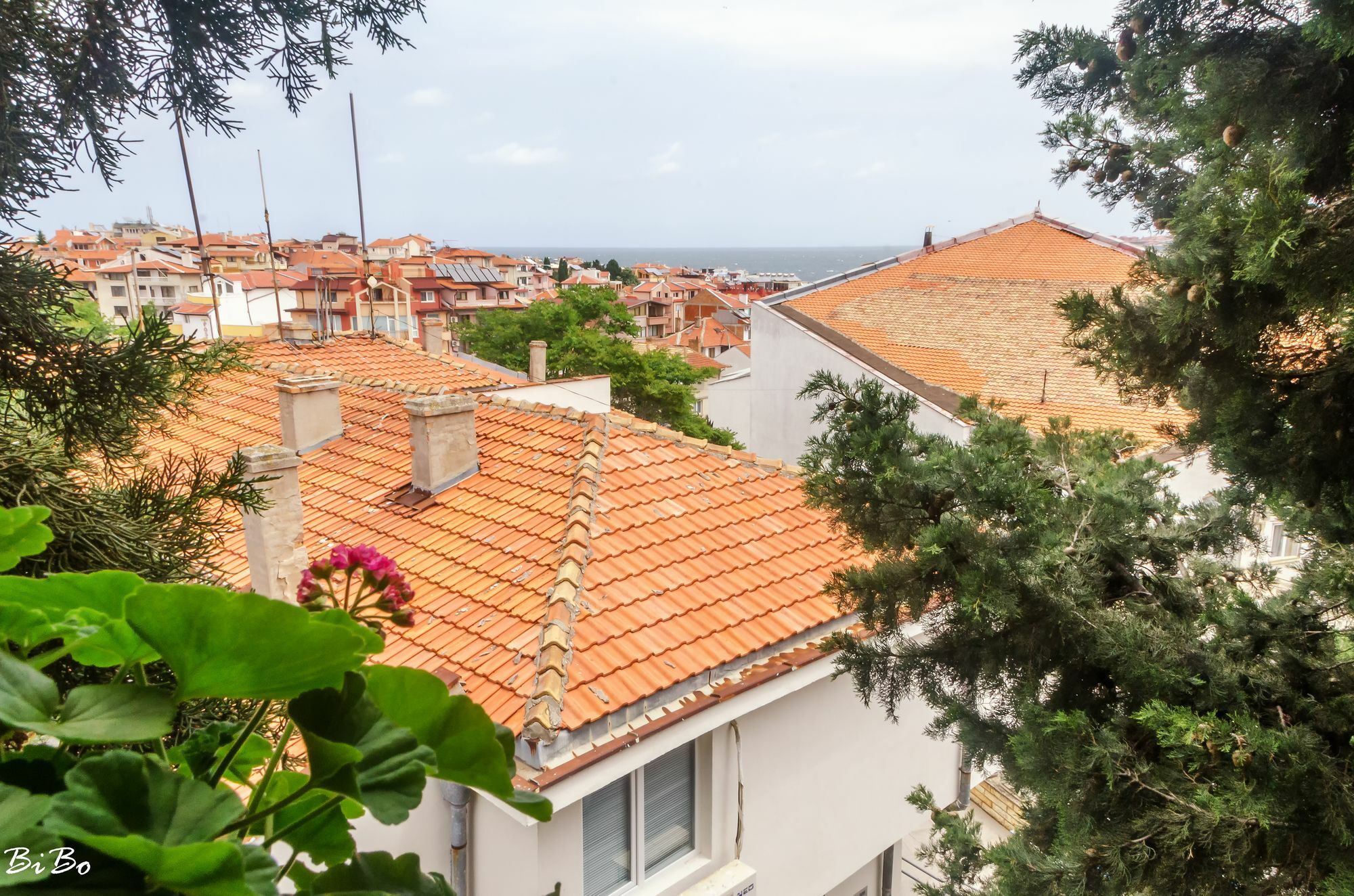 Dom Mladenovi Hotel Sozopol Exterior photo